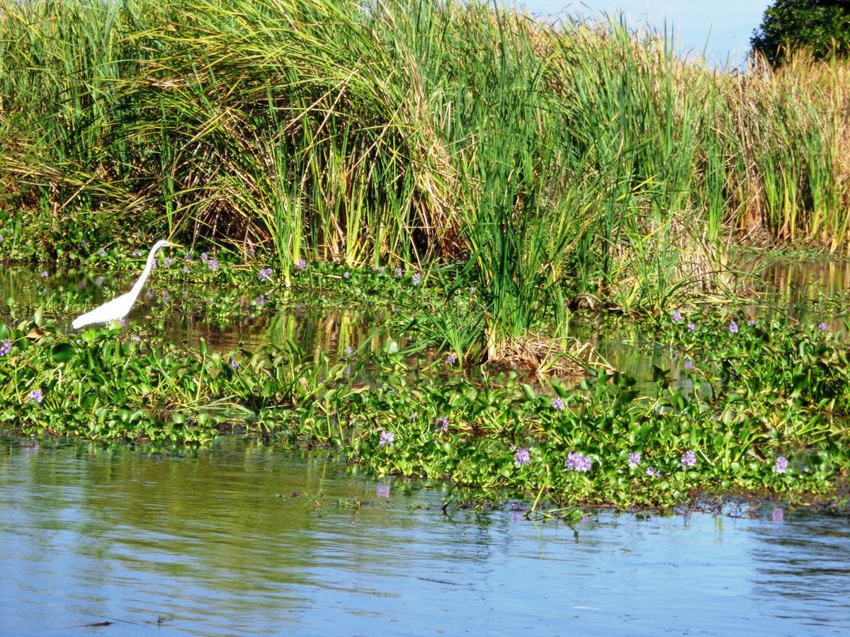 Marbella Eco Lodge Monterrico Dış mekan fotoğraf