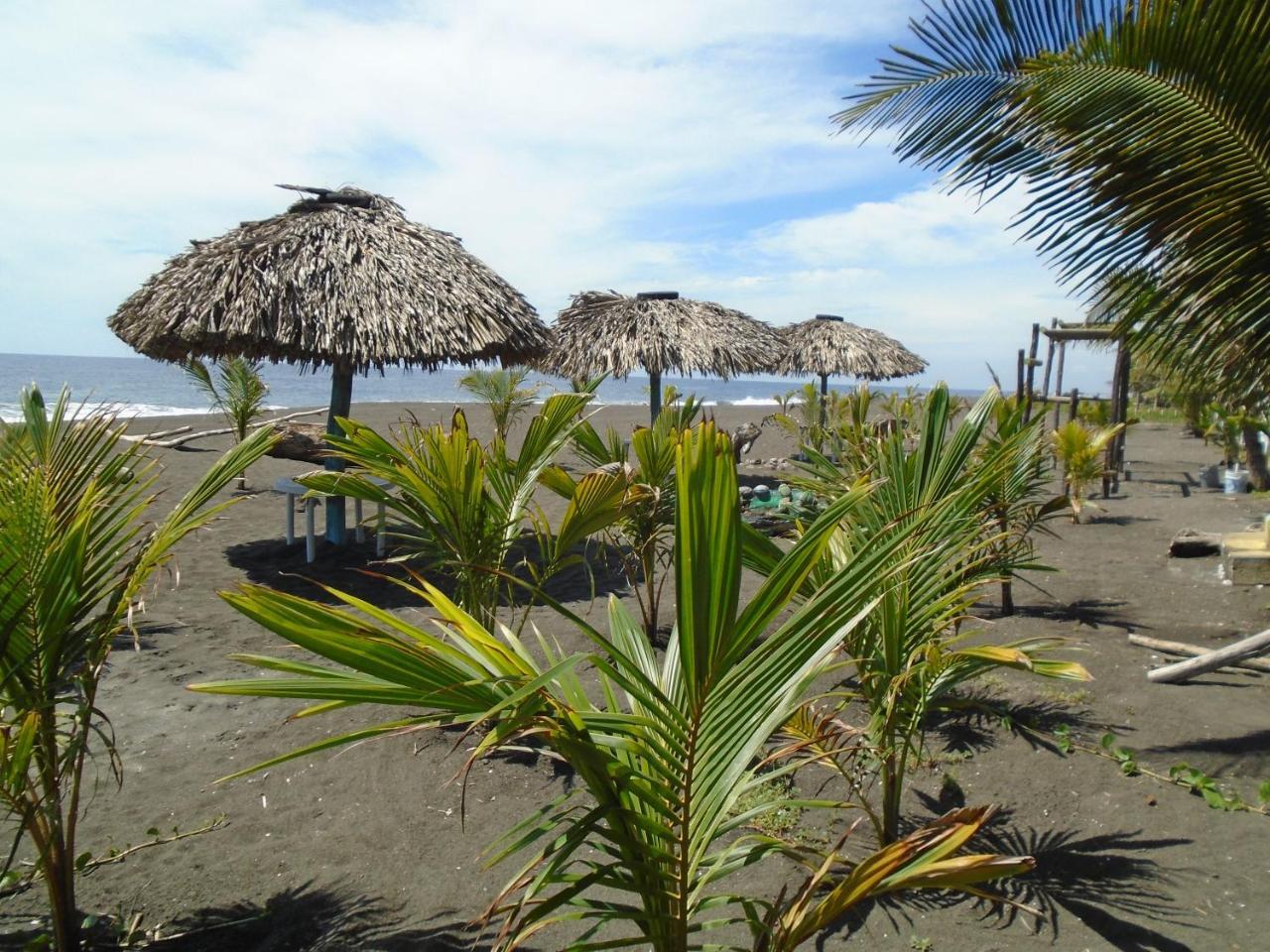 Marbella Eco Lodge Monterrico Dış mekan fotoğraf